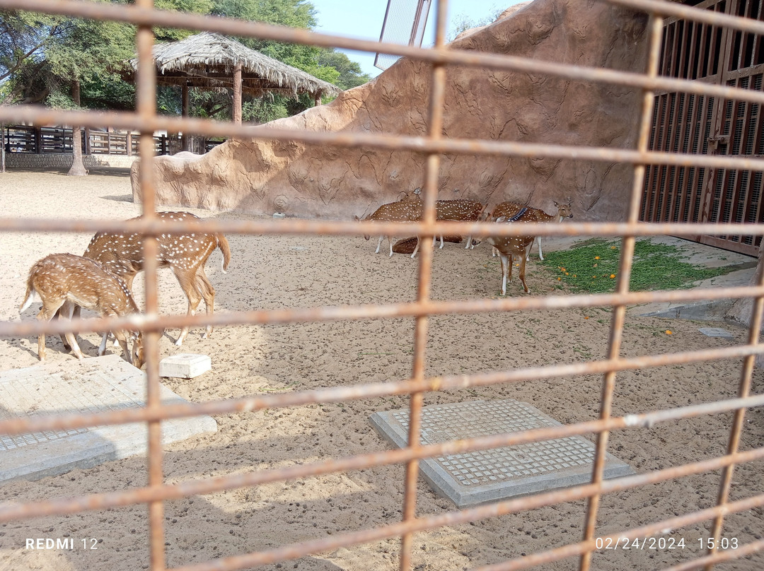 Al Khor Park-Al Khor必去景点