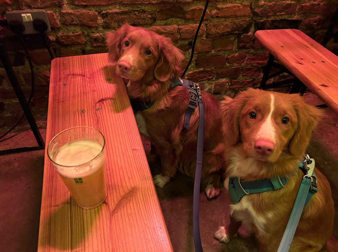 Nothing Bound Brewery
