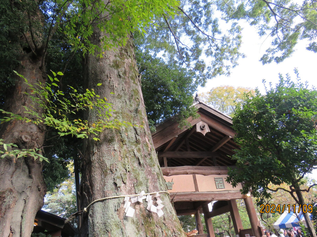 Ishikawa Brewery-福生市必去景点