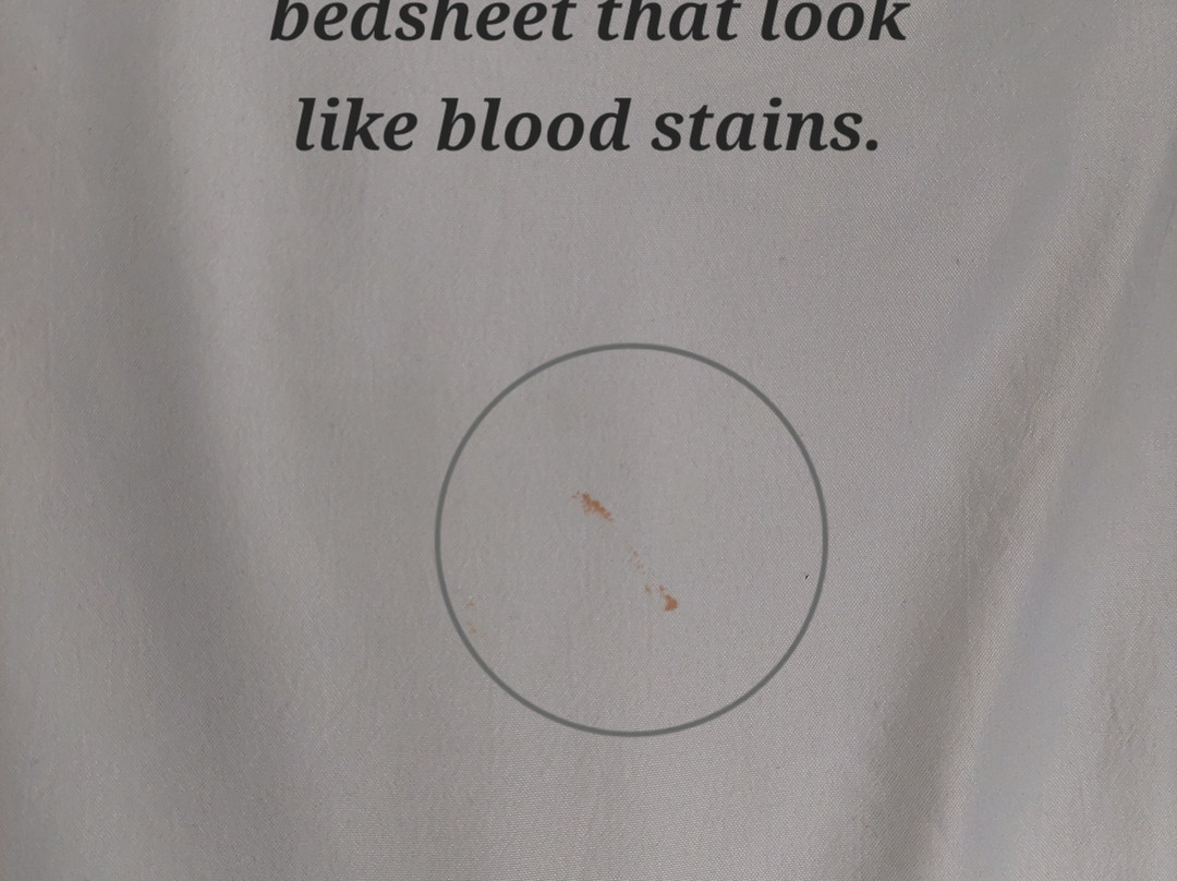 Comfort Inn Charleston, WV主图