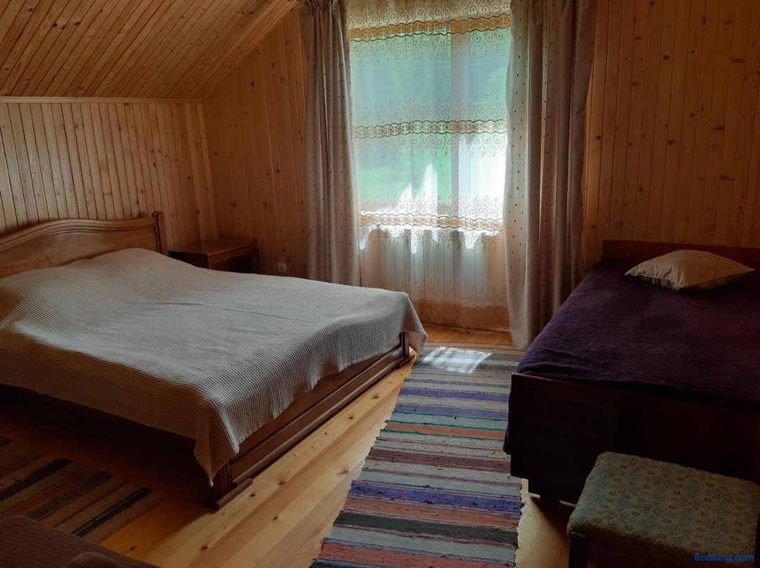 Faina Dacha