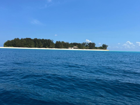 Asm Tours And Travel-桑给巴尔市必去景点