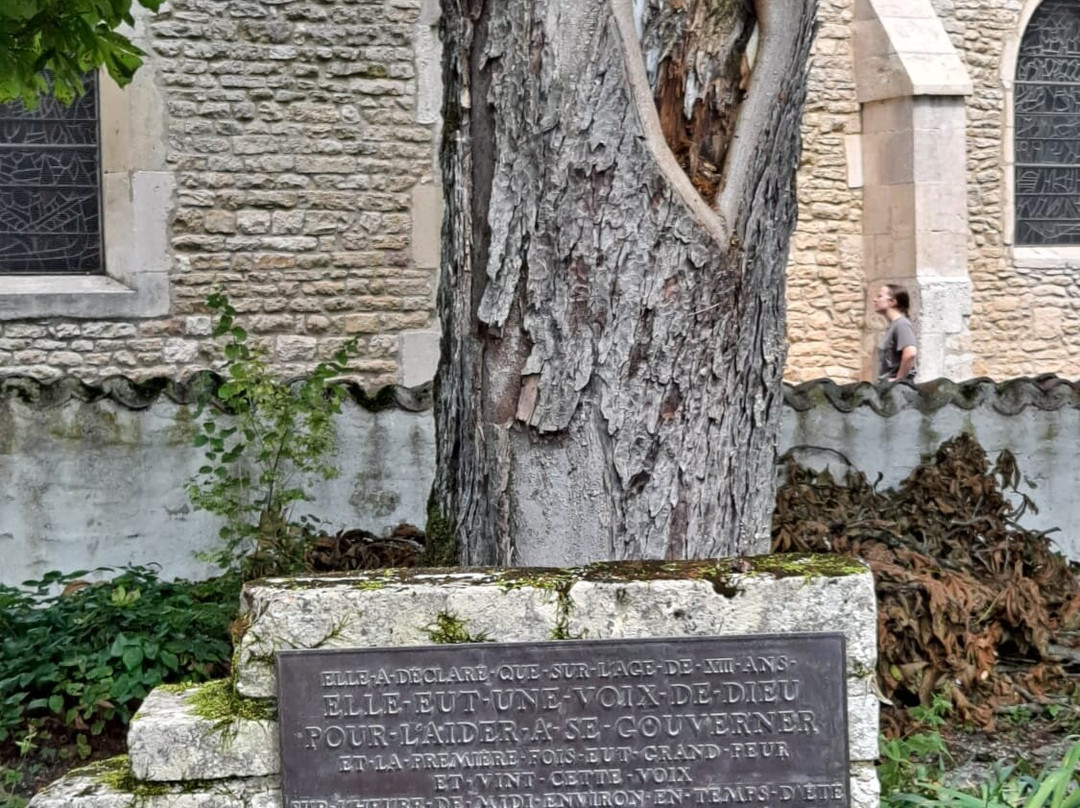 Maison Natale de Jeanne d’Arc景点图片
