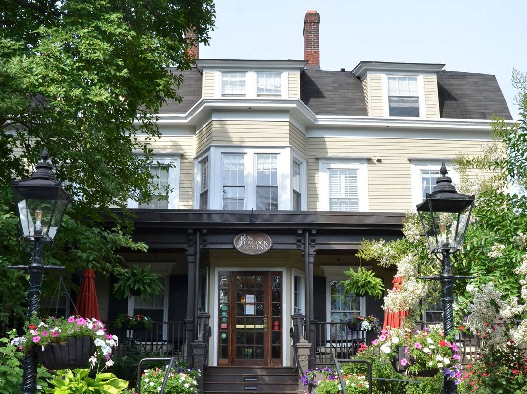 The Peacock Inn主图