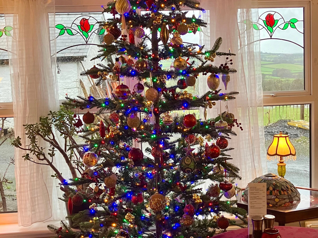 The White House Country Inn主图