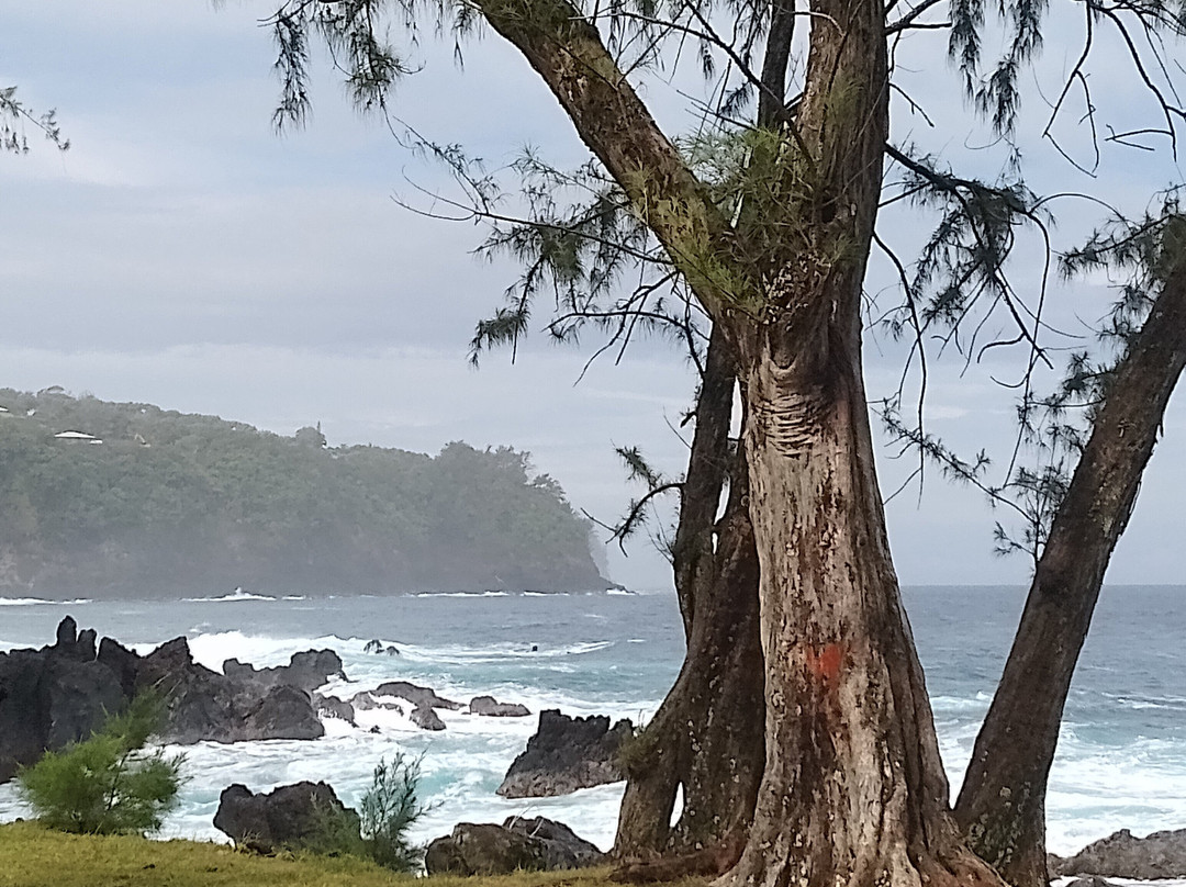 Laupahoehoe Lookout-劳帕霍也霍也必去景点