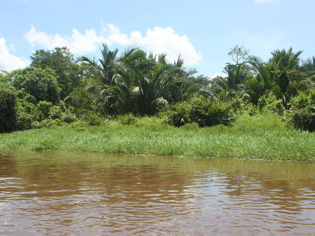克里亚斯湿地-沙巴必去景点
