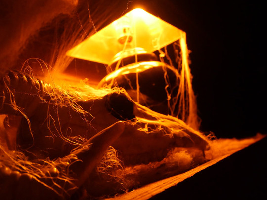 Mystic Escape Room Loganville-Loganville必去景点