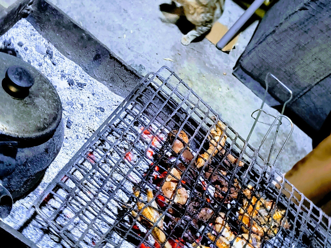 Safi Kitchen hostel主图