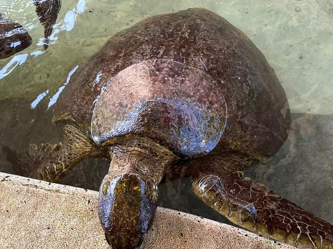 ZanhazyTours-桑给巴尔市必去景点