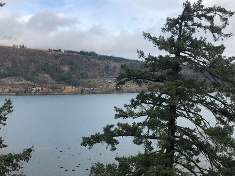 Columbia Gorge Hotel & Spa主图