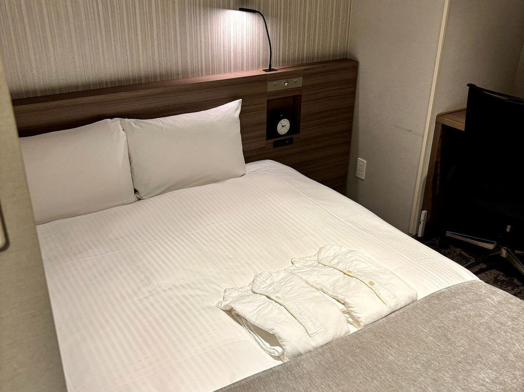 Daiwa Roynet Hotel Shimbashi主图