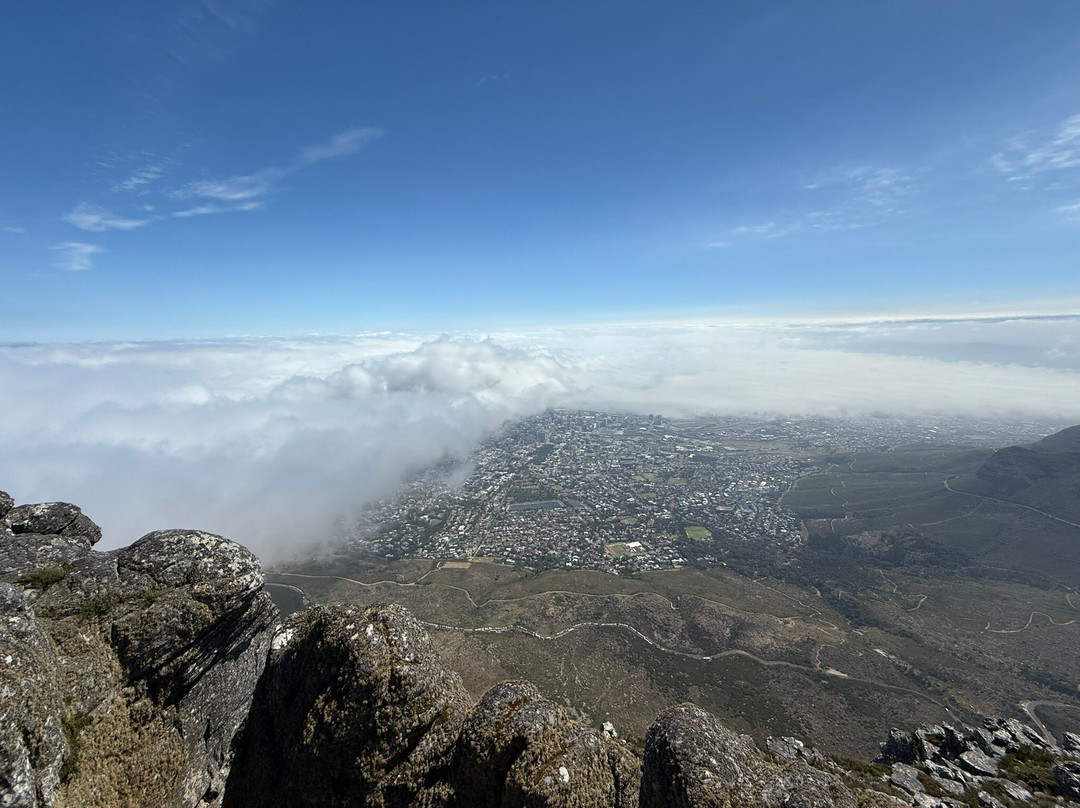 Table Mountain National Park-Cape Point必去景点