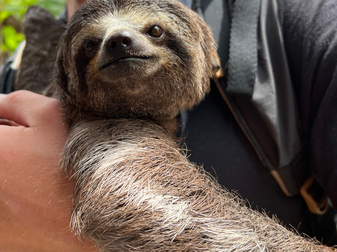 Yakumama Amazon Tours-伊基托斯必去景点