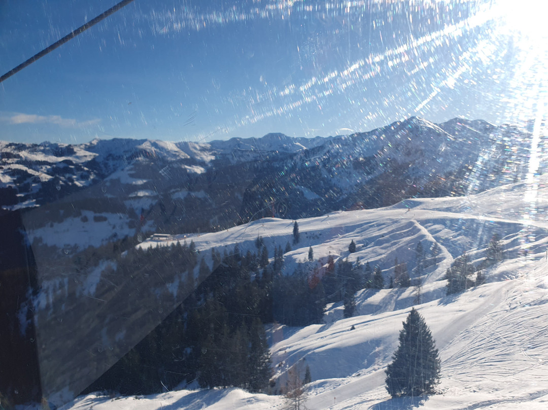 Ski Juwel Alpbachtal Wildschonau-高山溪必去景点