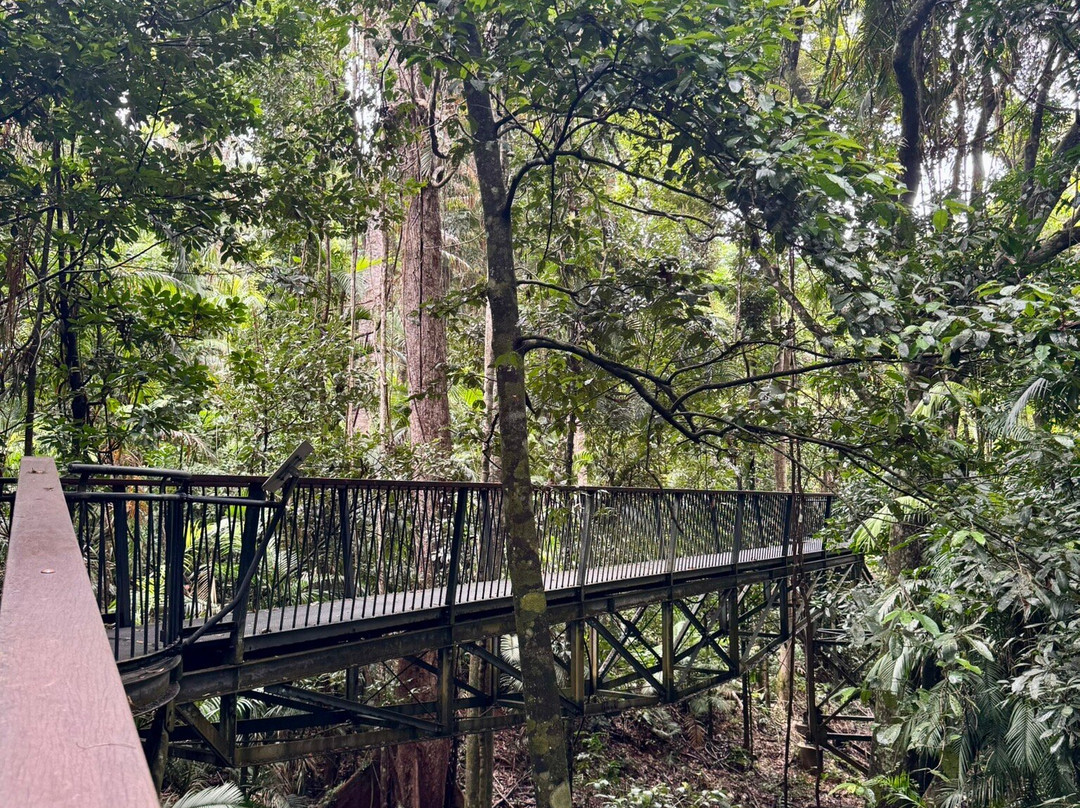 Barron Falls-库兰达必去景点