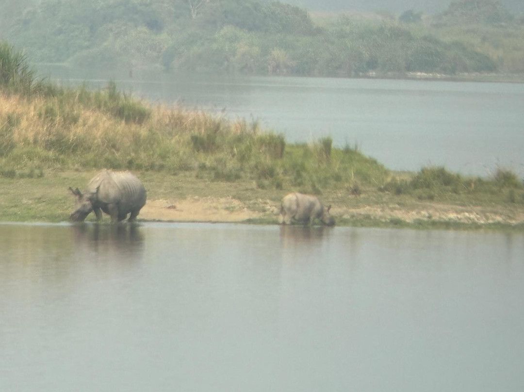 Free Folk-古瓦哈提必去景点