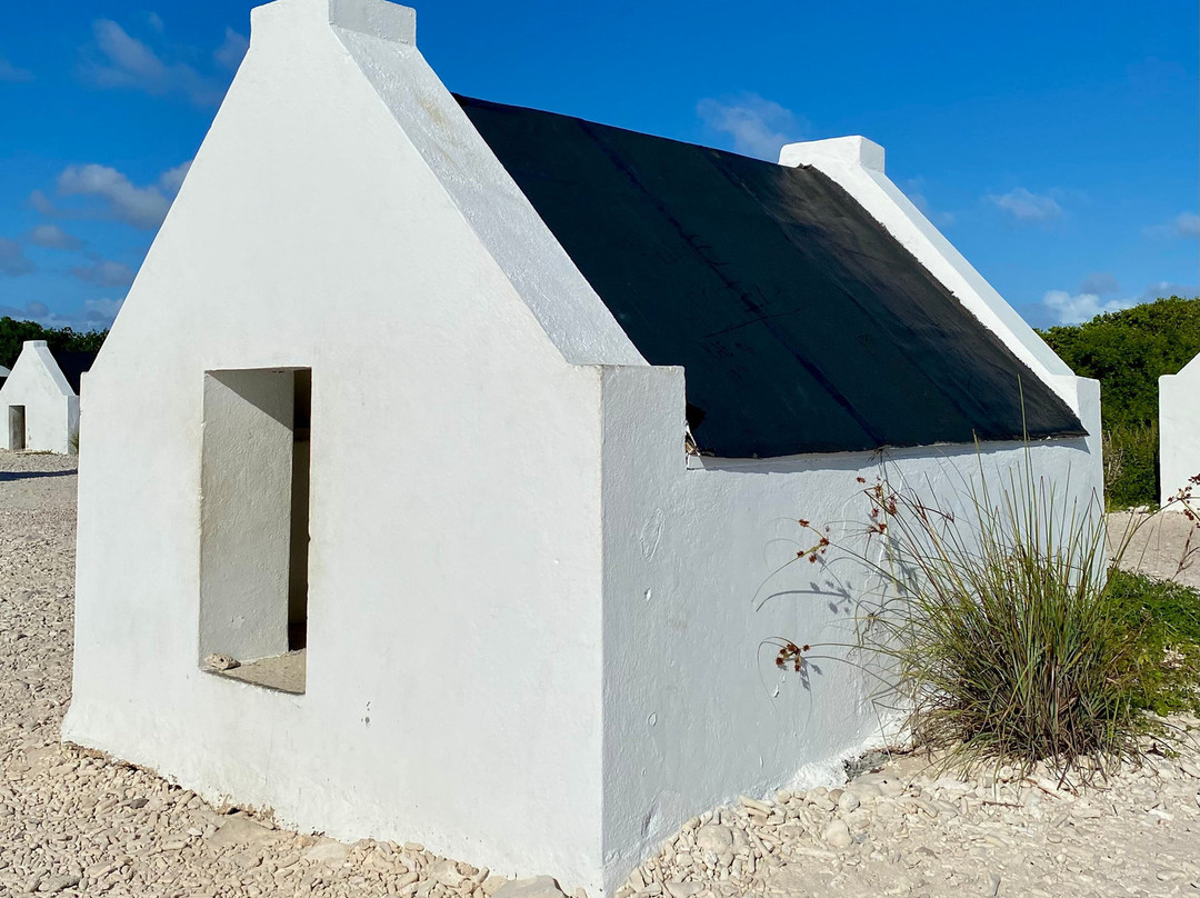 Salt Pier-Kralendijk必去景点