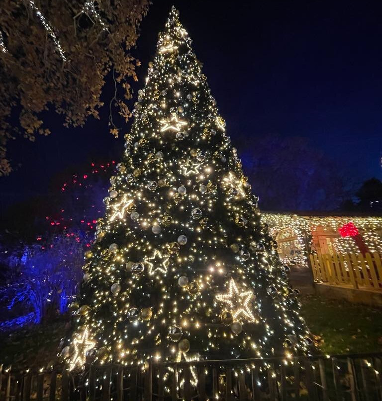 Wiener Christkindlmarkt景点图片