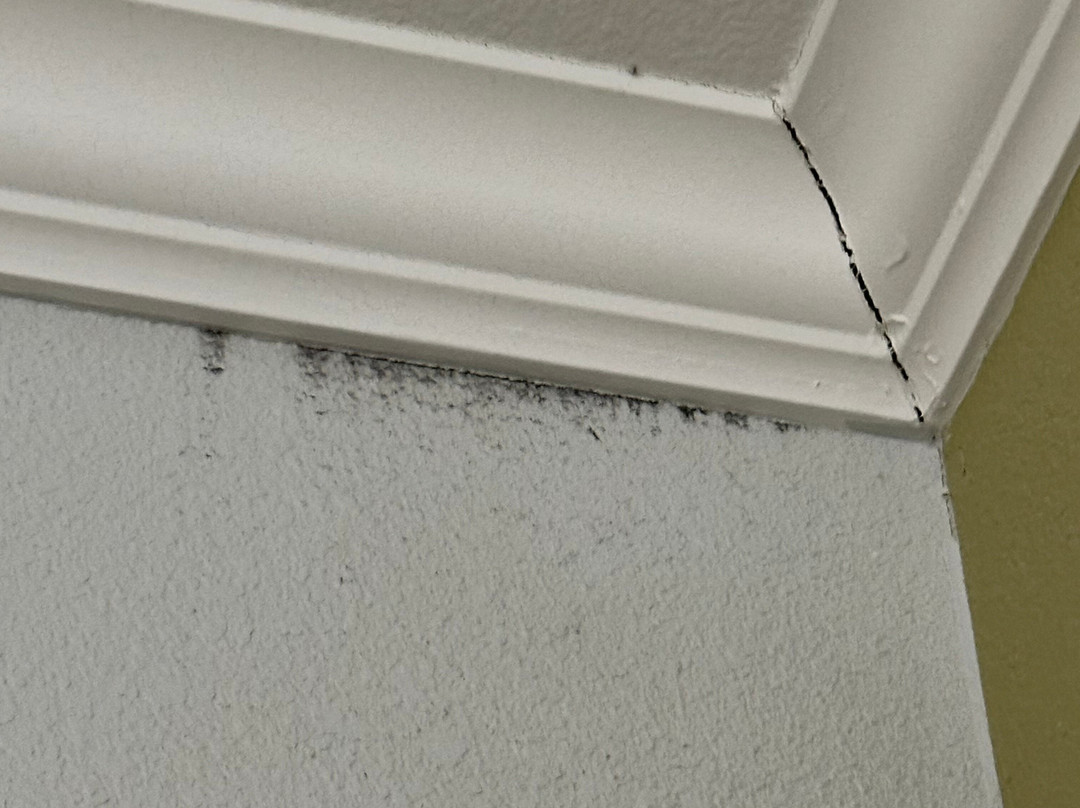 Holiday Inn Express & Suites Lufkin South By IHG主图