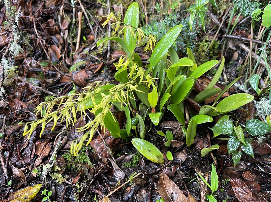 Parque Nacional Natural Puracé-Purace必去景点
