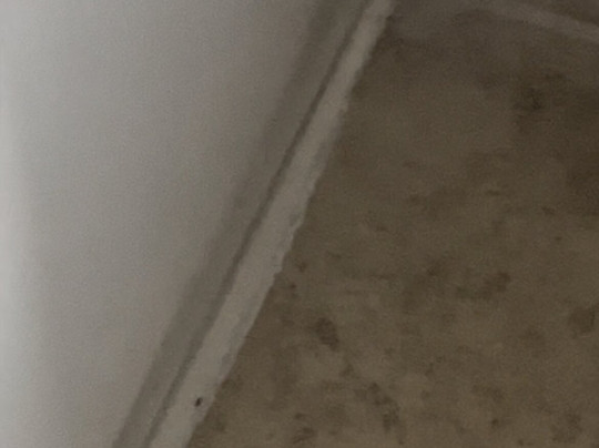 Garner Hotel Augusta West by IHG主图