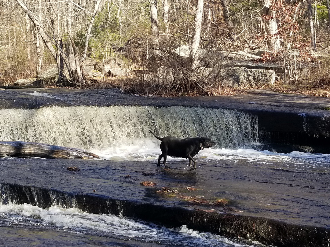 Arcadia Management Area-Hopkinton必去景点