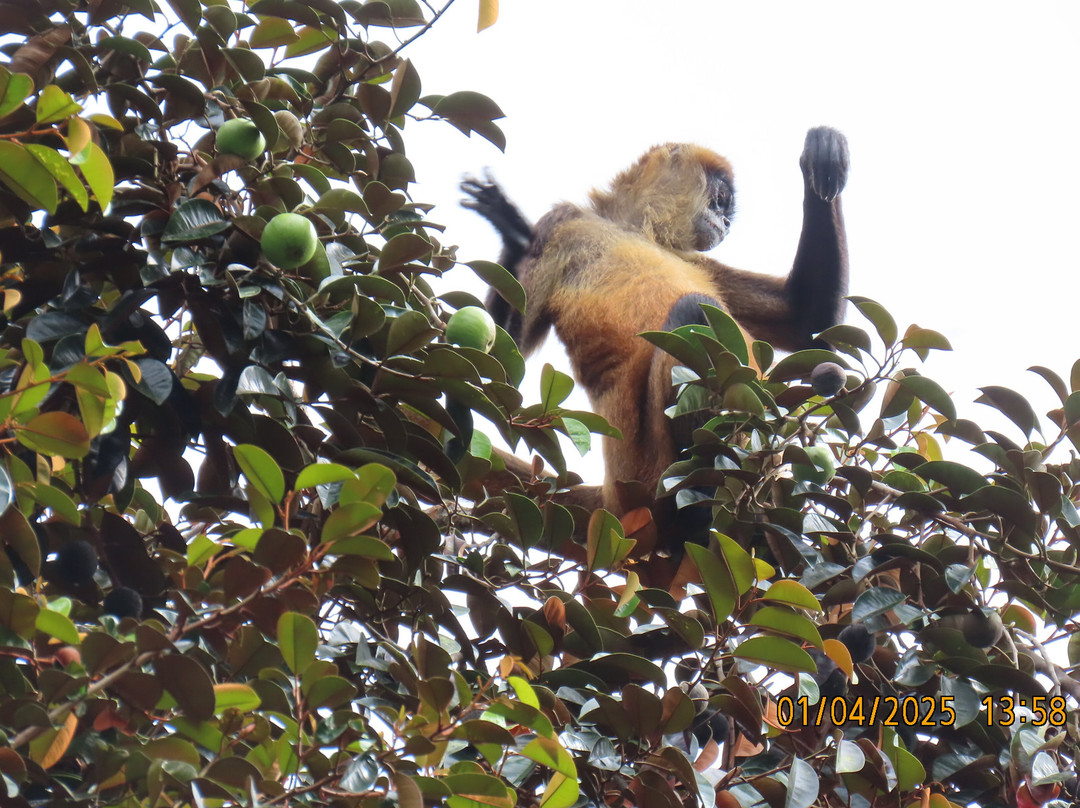 La Marina Wildlife Rescue Center景点图片