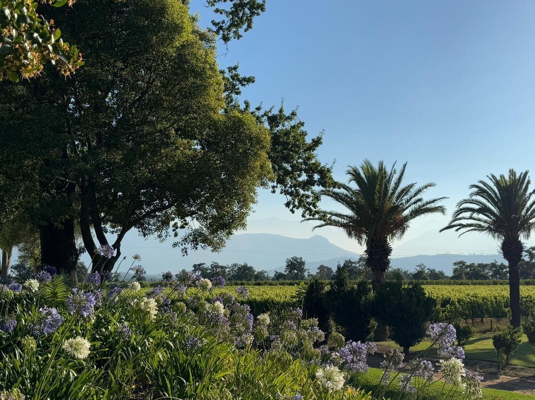 Allee Bleue Wine Estate主图