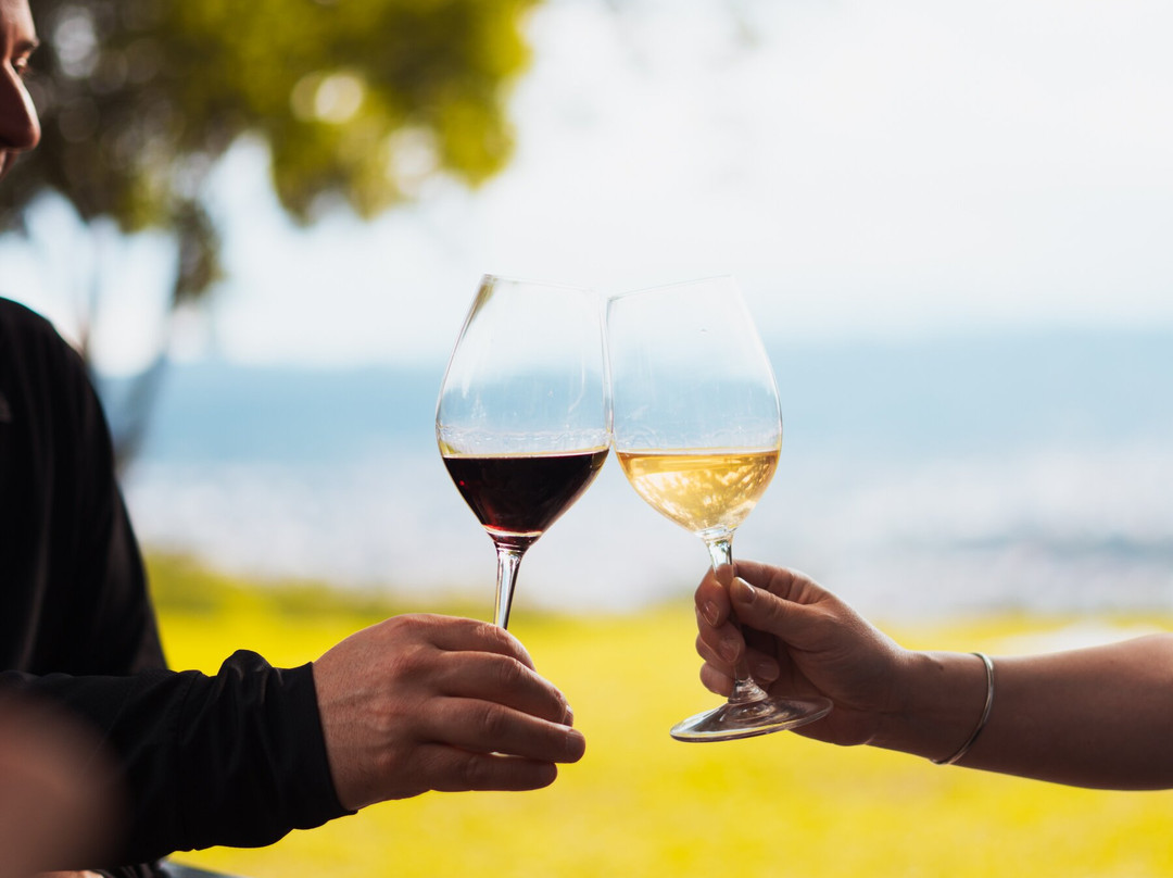 阿尔托斯德拉维尼亚，葡萄酒酒店和水疗中心主图