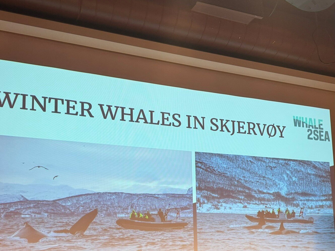 Whale2Sea景点图片