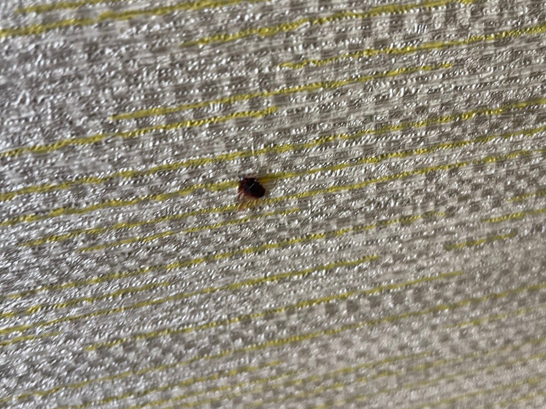 Holiday Inn Express Lorton By IHG主图