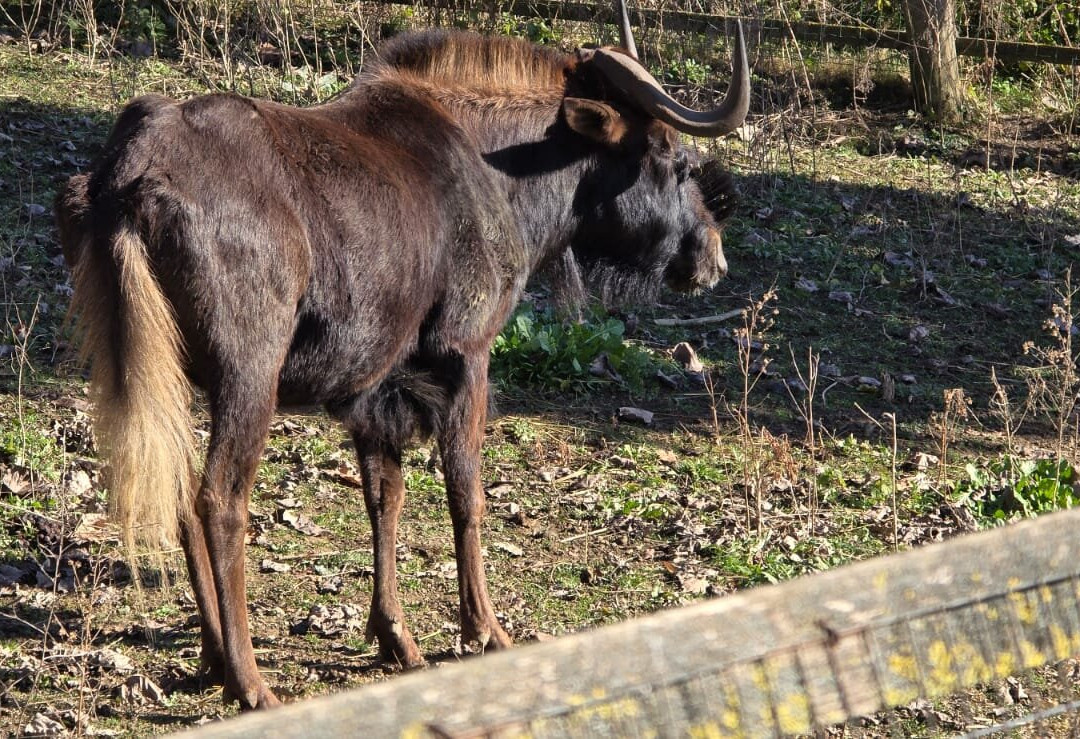 Parco Safari delle Langhe-Murazzano必去景点