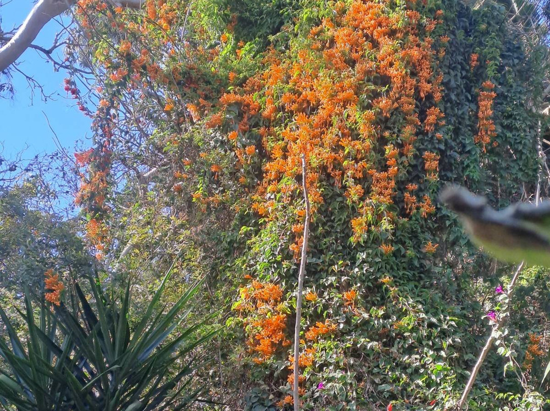 Les Jardins Exotiques De Bouknadel-拉巴特必去景点