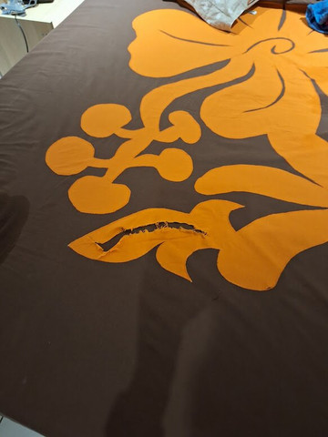 Pension Moana Nui主图