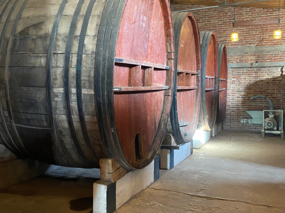 Bodega Terra Lombarda-圣拉斐尔必去景点