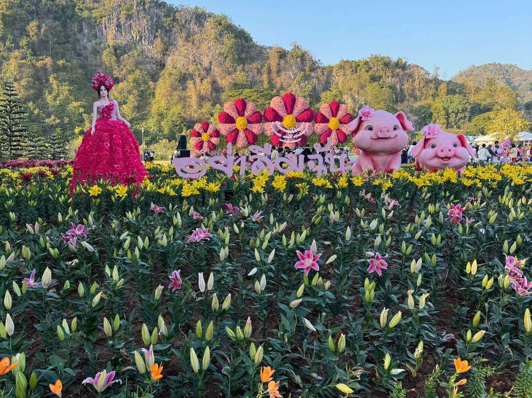 Chiang Rai Beach-清莱必去景点