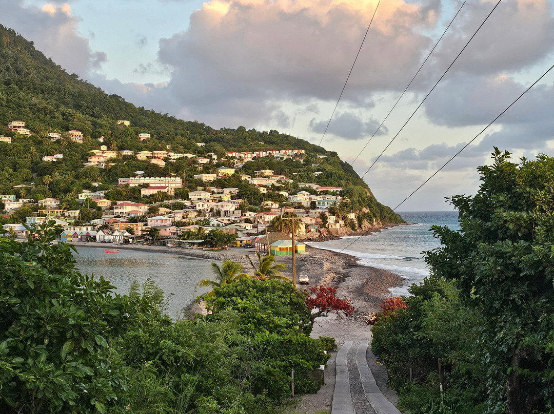 Scott's Head Pinnacles-Scotts Head必去景点