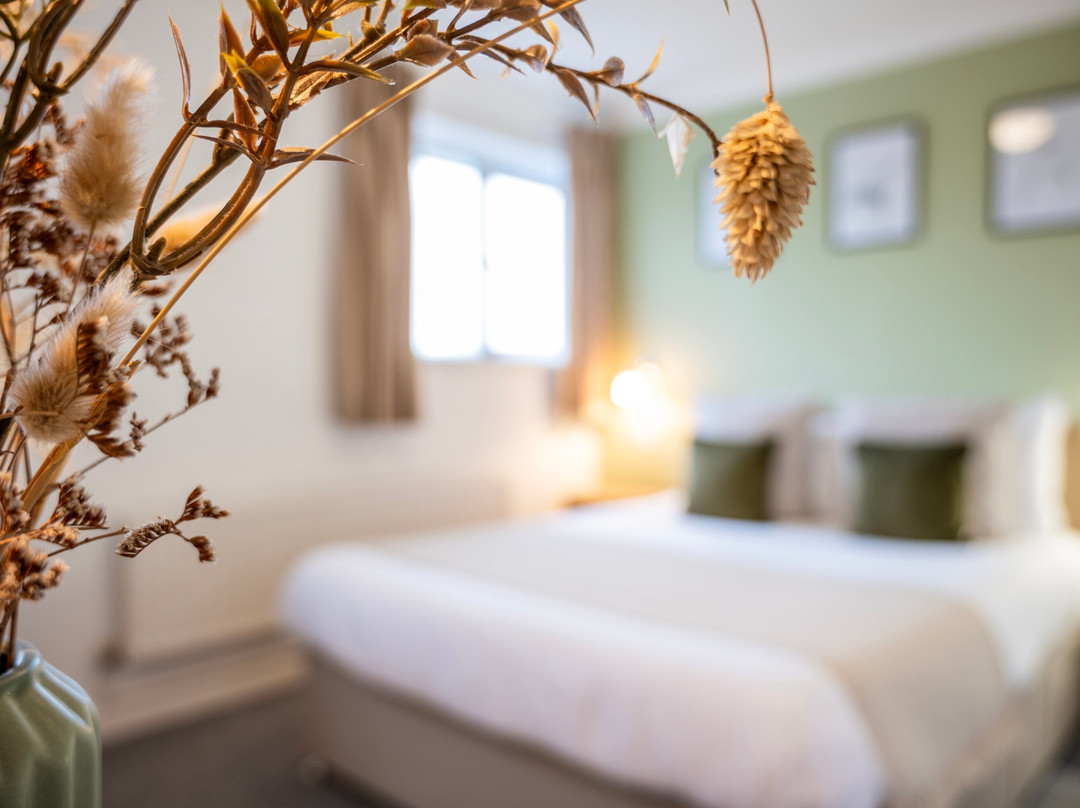 Inn For All Seasons主图