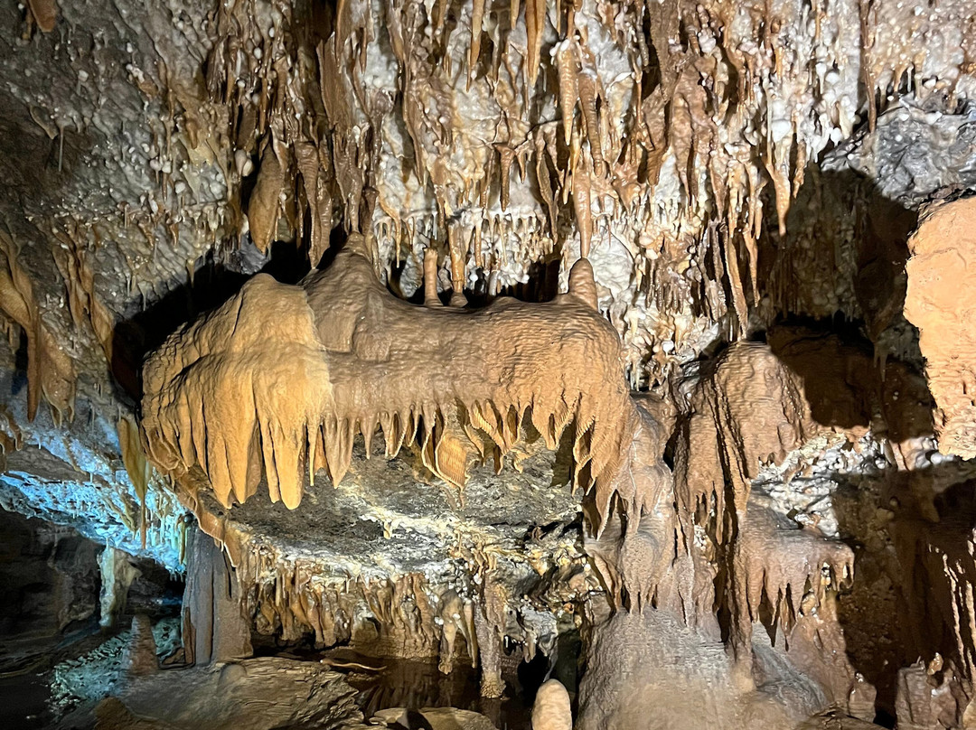 Buchan Caves Reserve景点图片