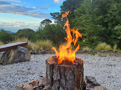 The Gorge Mountain Bike Park-尼尔森必去景点