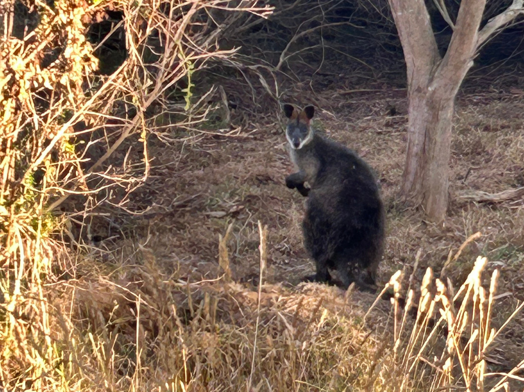 Island Breeze Resort主图