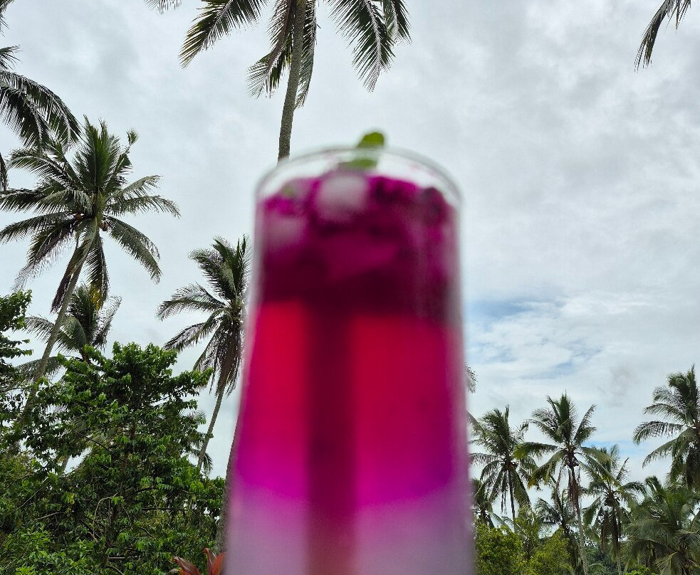 Galalima Glamping主图