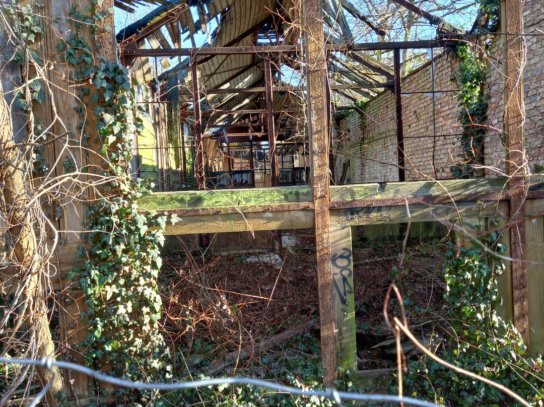 Beelitz-Heilstätten-Beelitz必去景点