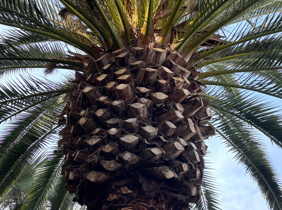 威尼斯海滩旅馆主图