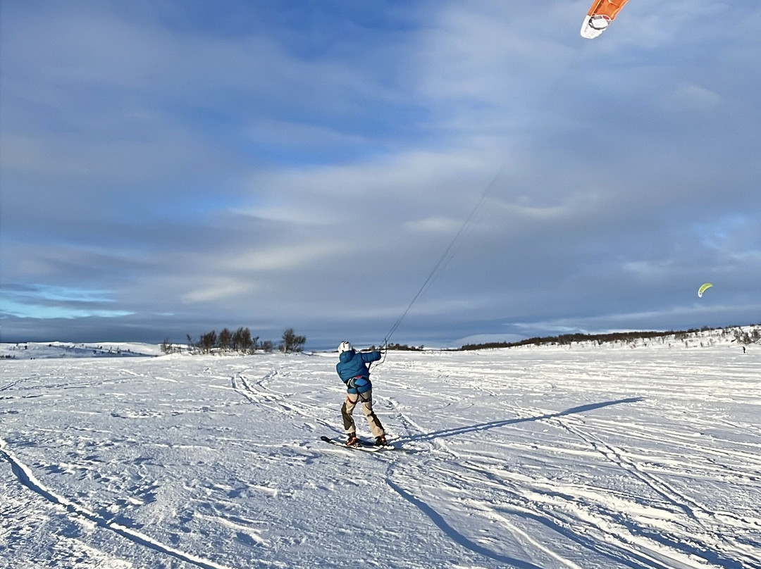 Tundra Tours景点图片