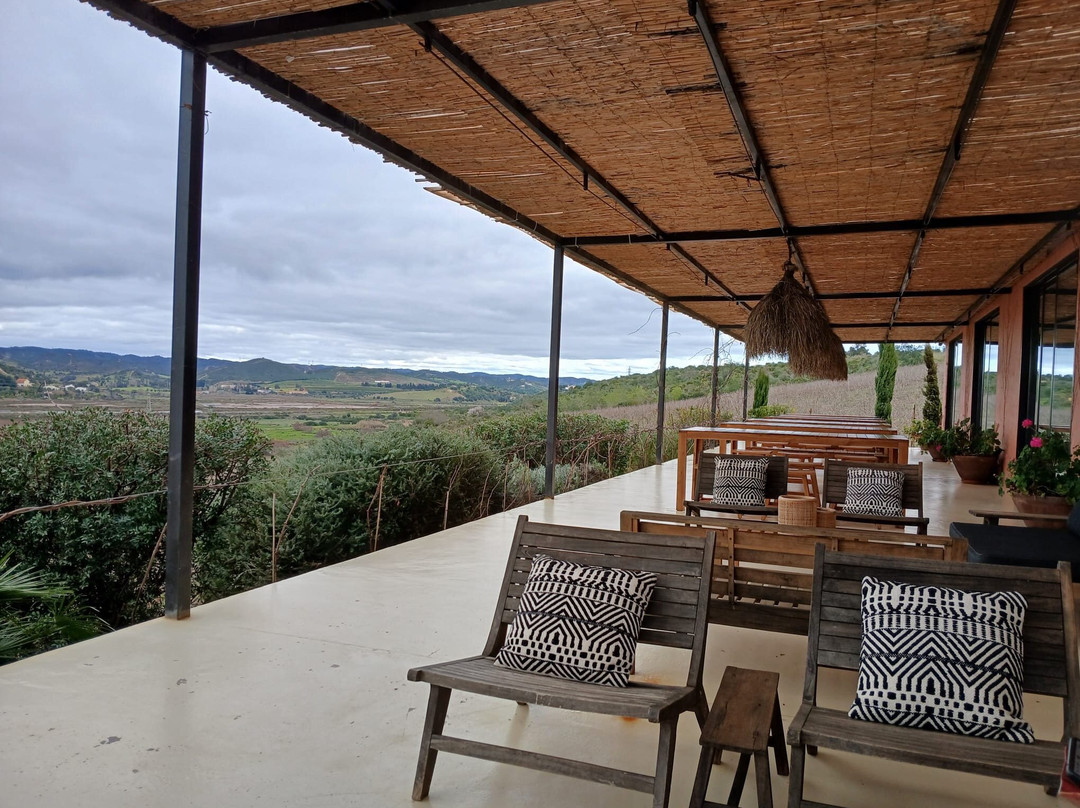 Arvad-Estombar必去景点