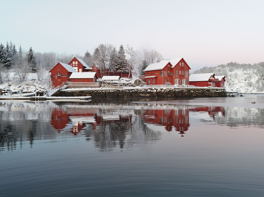 Vesterålen Apartment