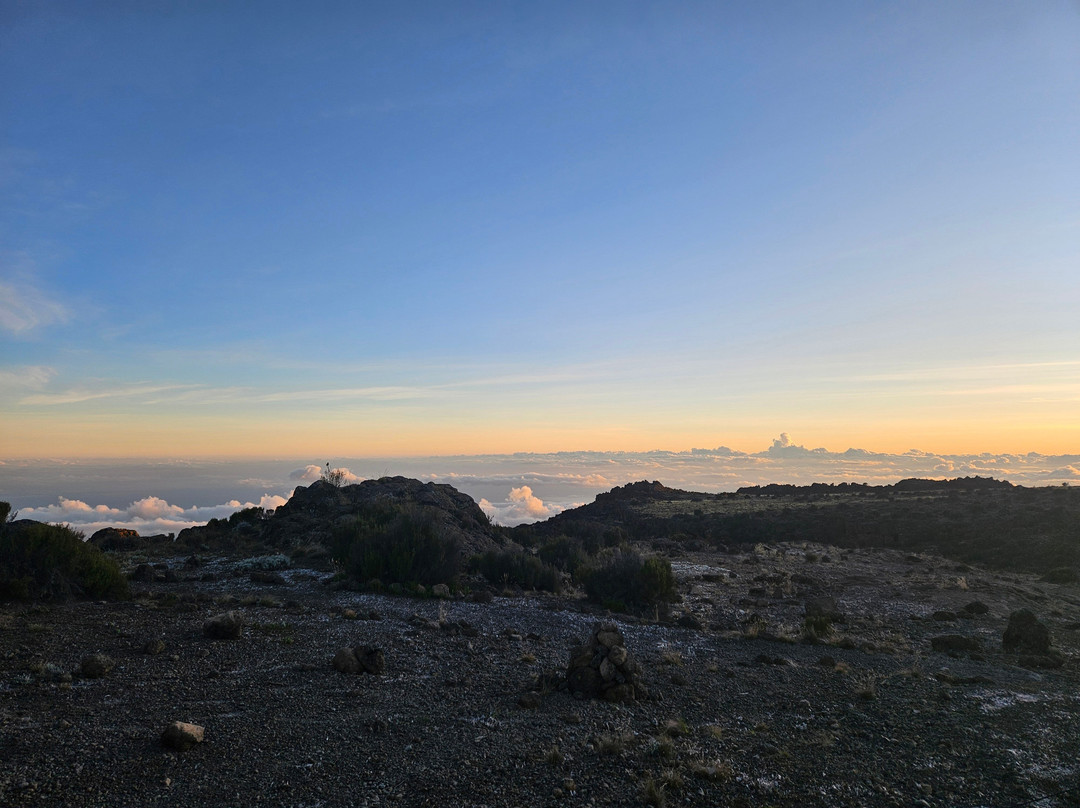 Tanzania Travelers景点图片