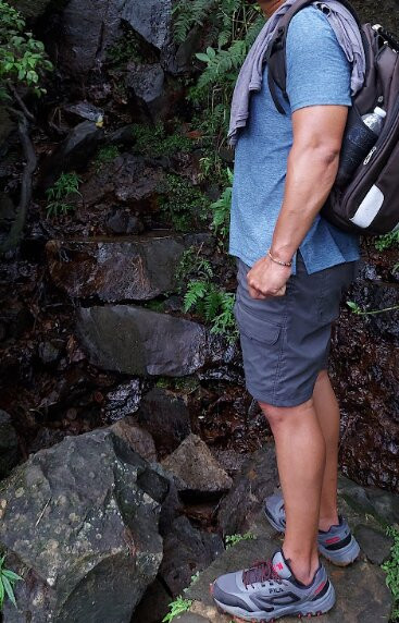 Torre Britton-云盖国家森林公园必去景点